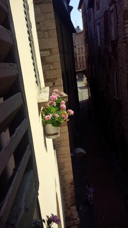 B&B Le Naiadi Perugia Ngoại thất bức ảnh